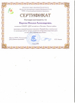 Сертификат РЦРО по предоставлению опыта работы и мастер-класса, 2016г